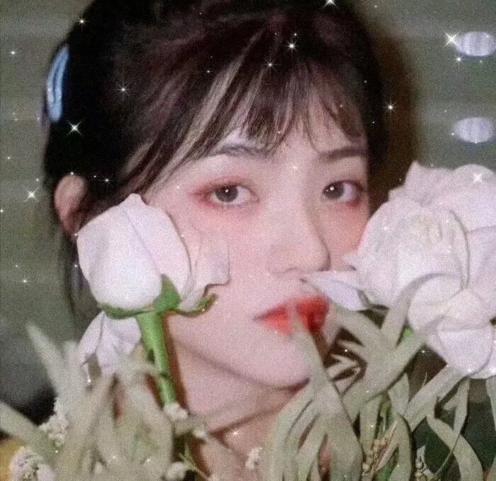 我们恋爱的履历